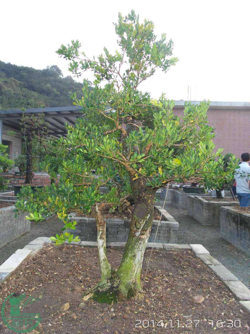 20141127_163050.jpg