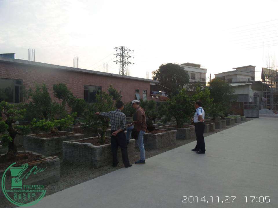 20141127_170543.jpg