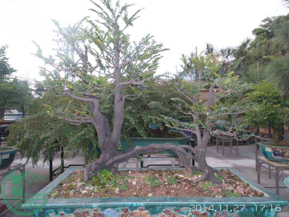 20141127_171602.jpg