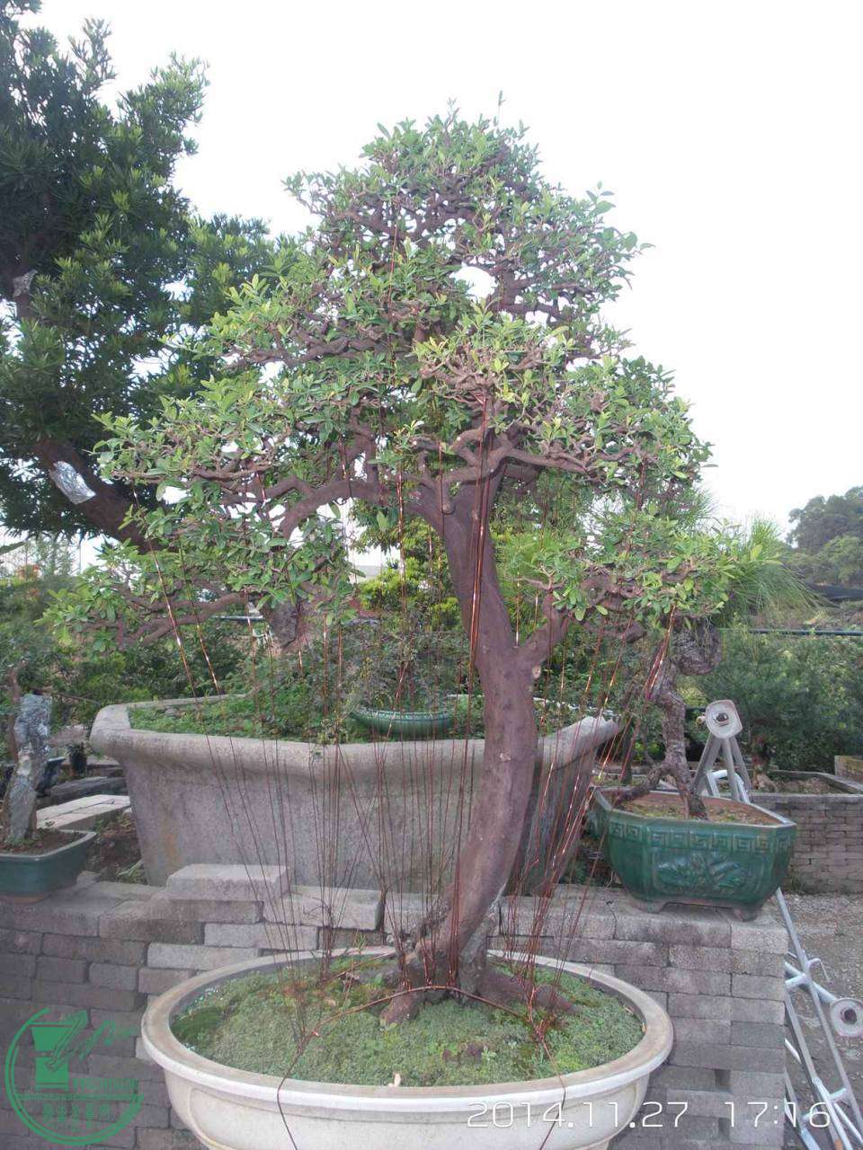 20141127_171618.jpg