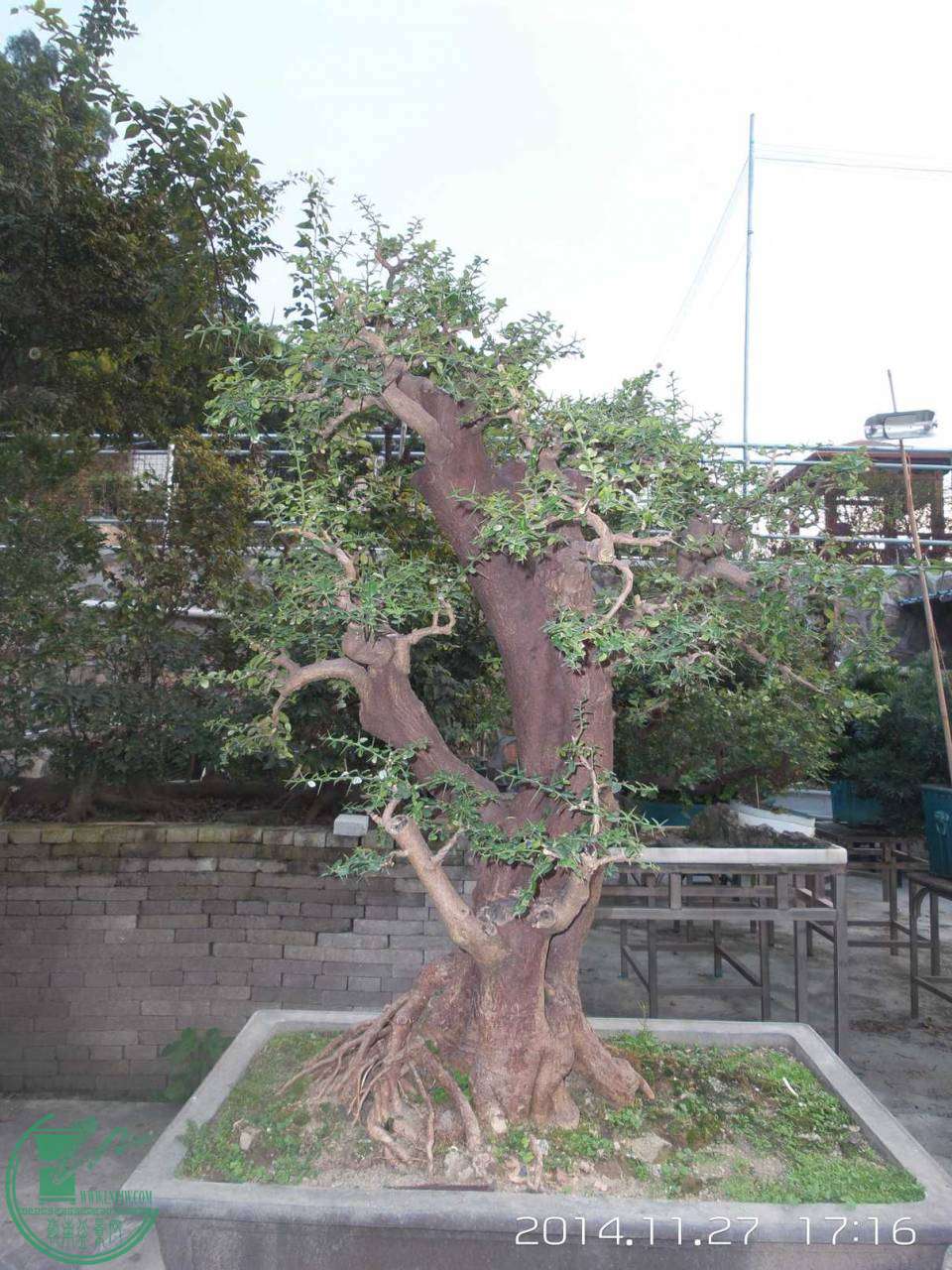 20141127_171657.jpg