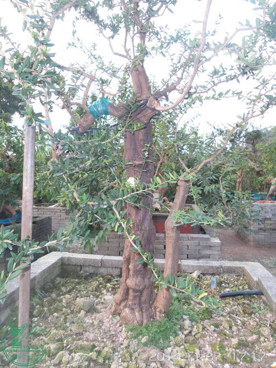 20141127_171723.jpg