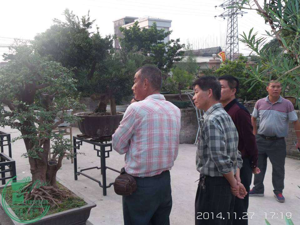 20141127_171946.jpg