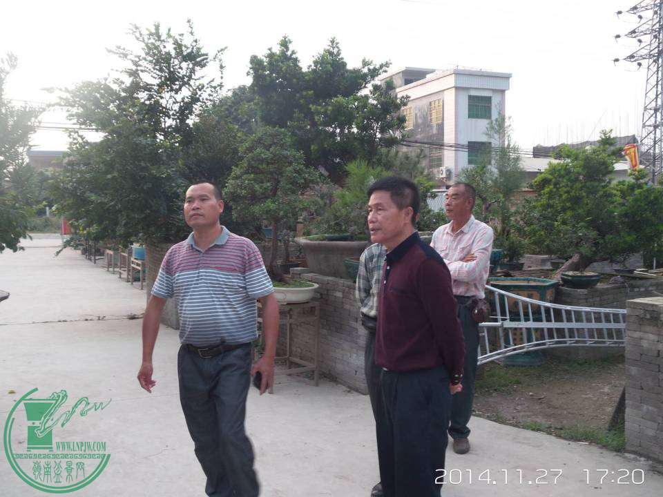 20141127_172022.jpg