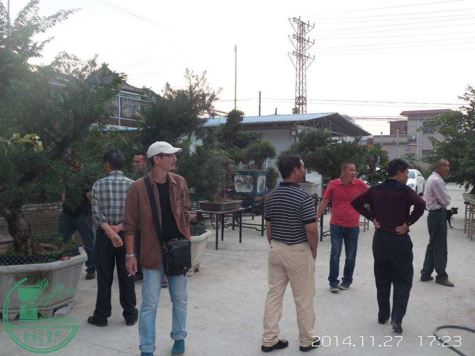 20141127_172343.jpg