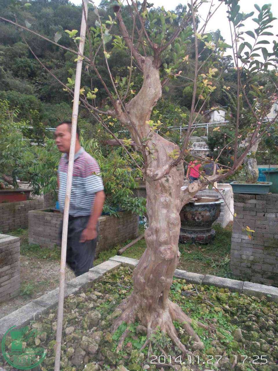 20141127_172518.jpg