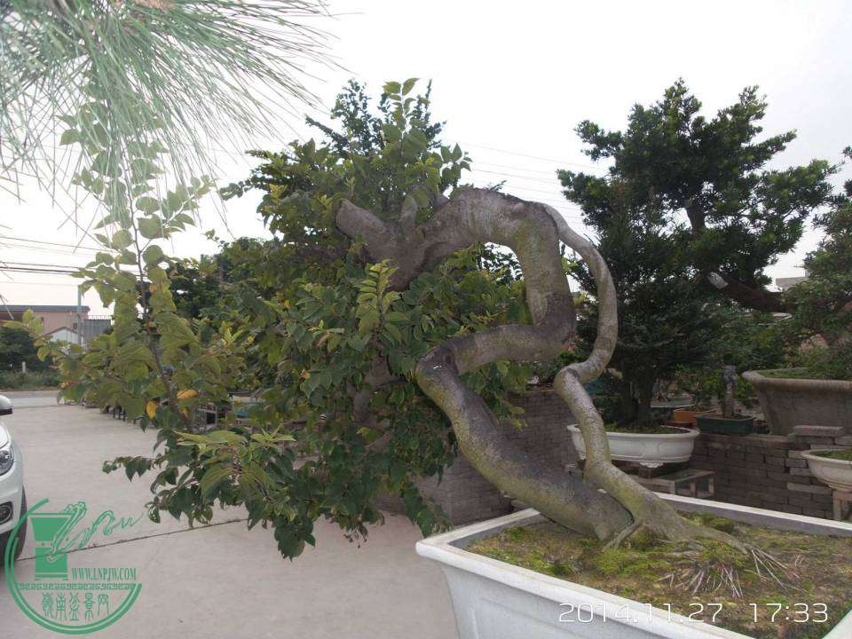 20141127_173338.jpg
