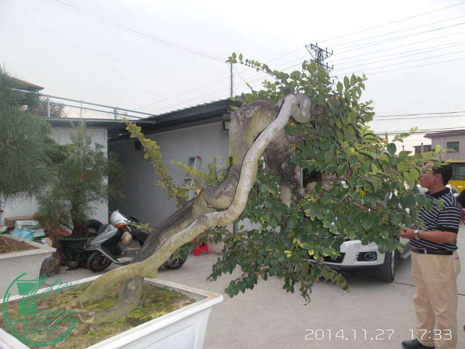 20141127_173400.jpg