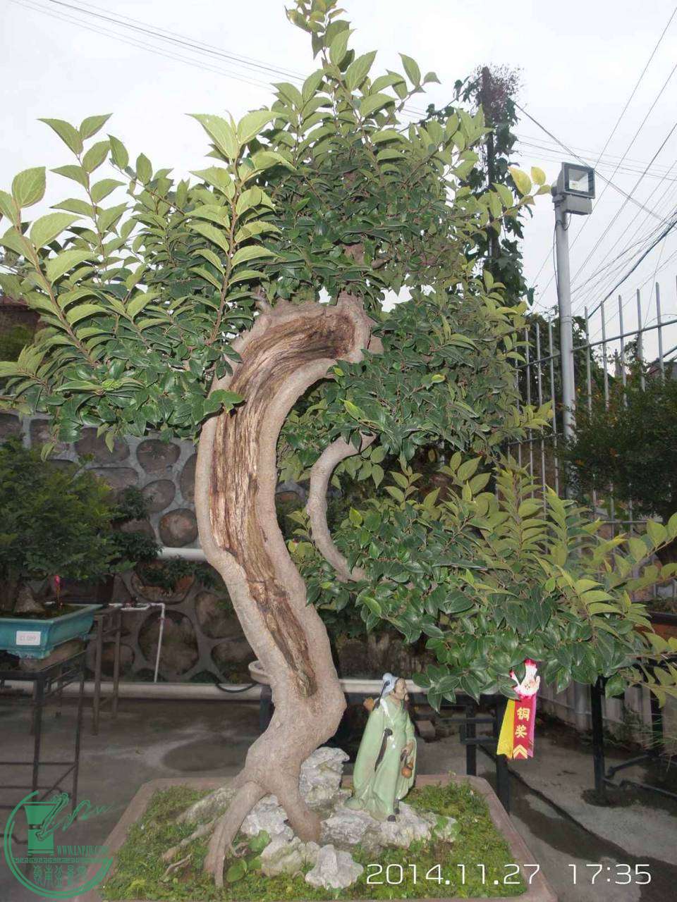 20141127_173505.jpg