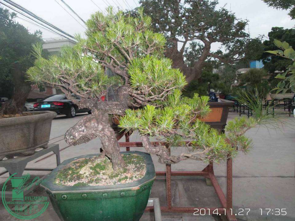 20141127_173518.jpg