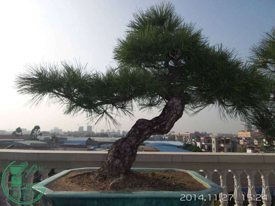 20141127_152413.jpg
