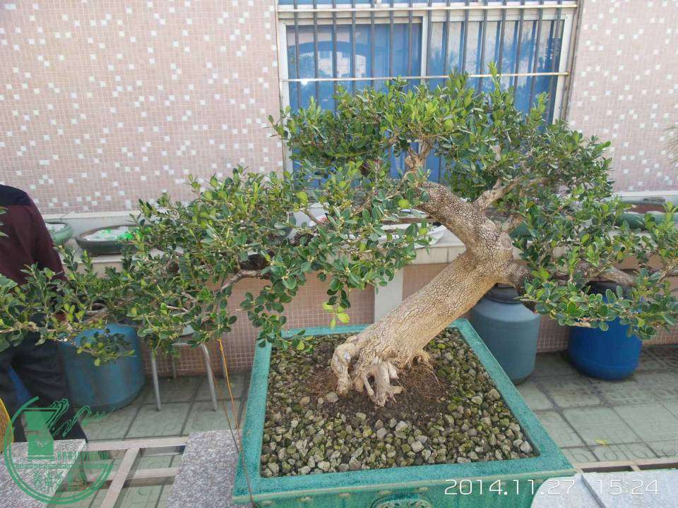 20141127_152440.jpg
