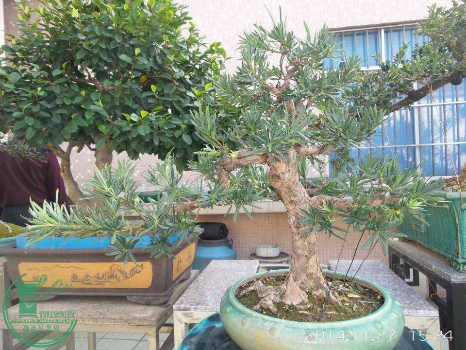 20141127_152500.jpg