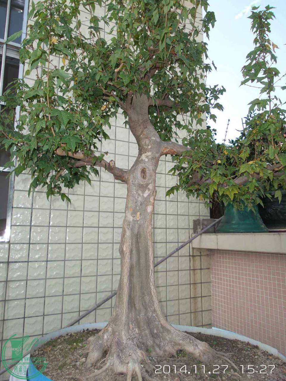 20141127_152742.jpg