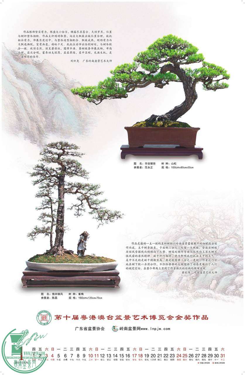-ʡ汾02.jpg