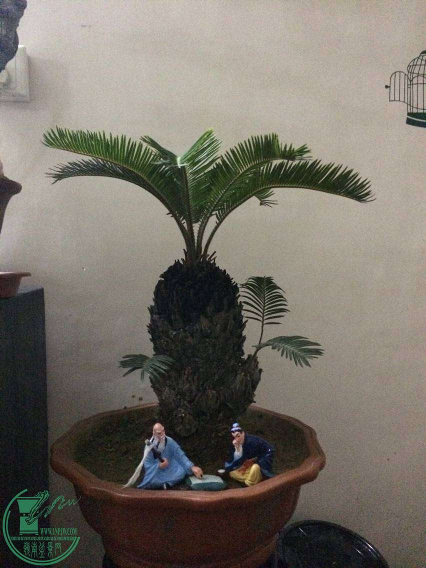 .jpg