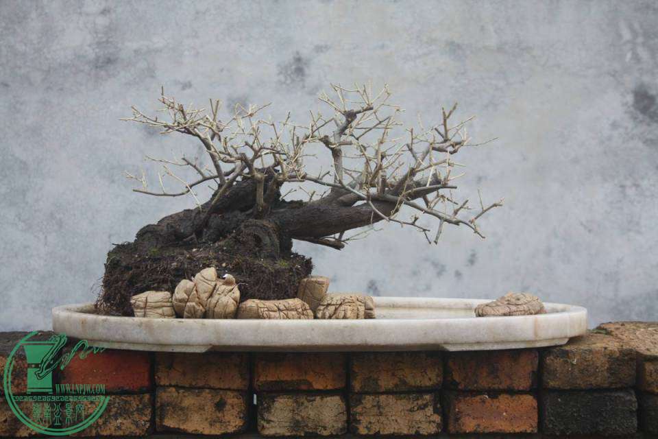 Ƭ20131026ۺ 2344.jpg