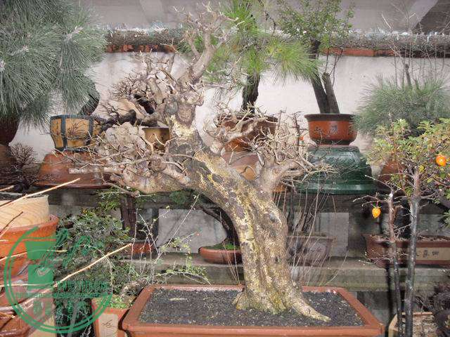 С SDC14127.JPG