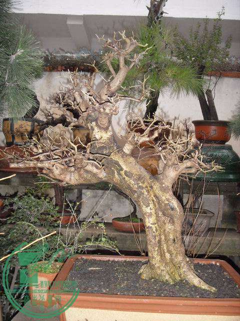 С SDC14128.JPG