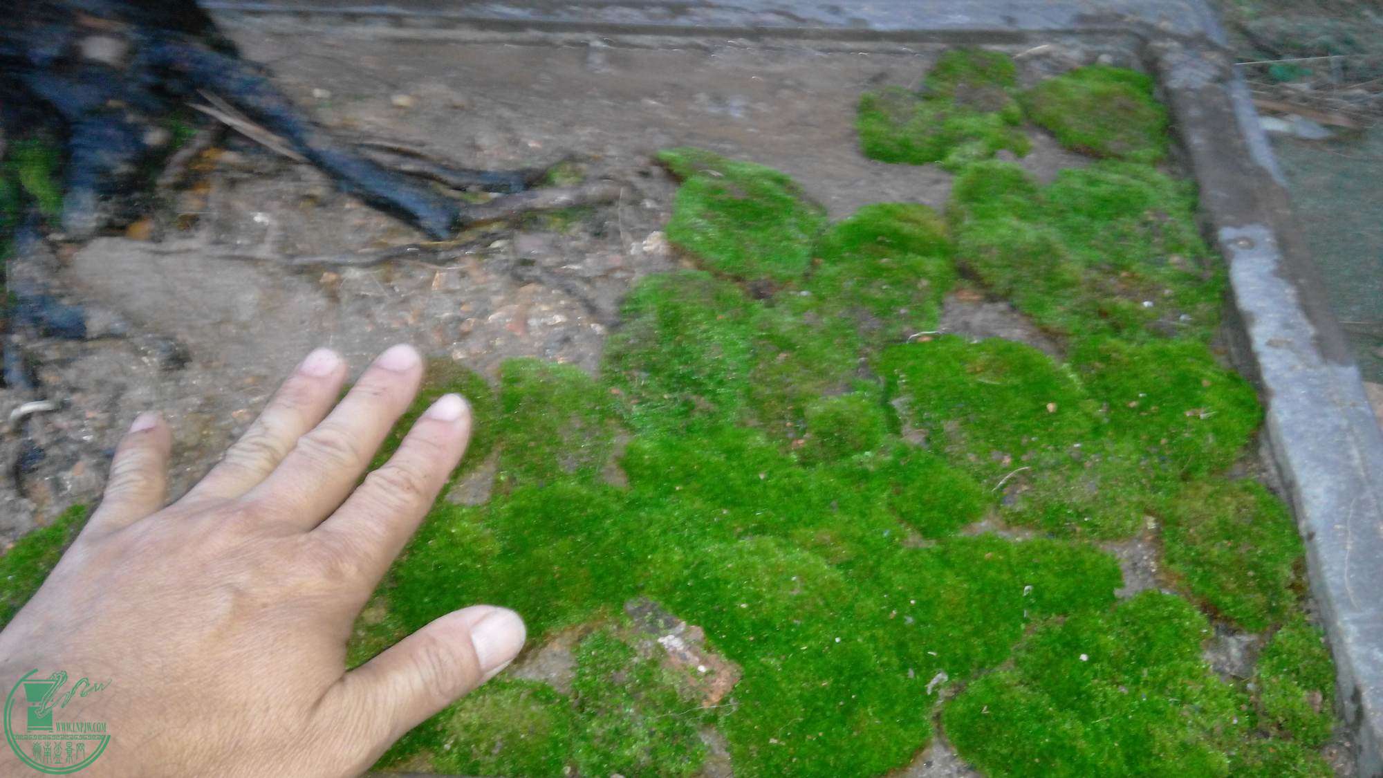 20141211175422.jpg