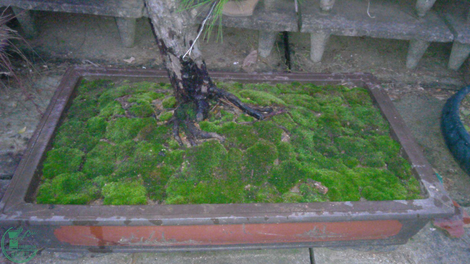 20141211180520.jpg