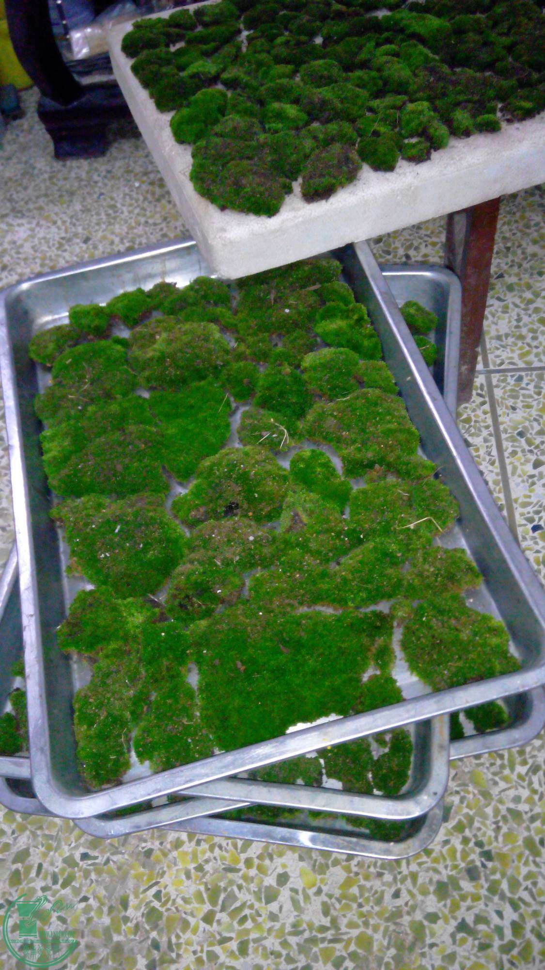 20141211205042.jpg