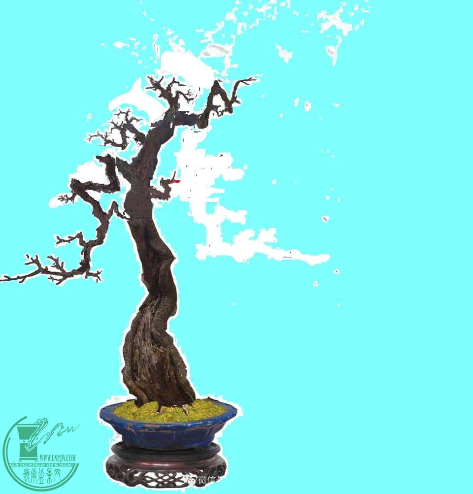 113124y6f8gpygef7h8ffx.jpg.thumb.jpg