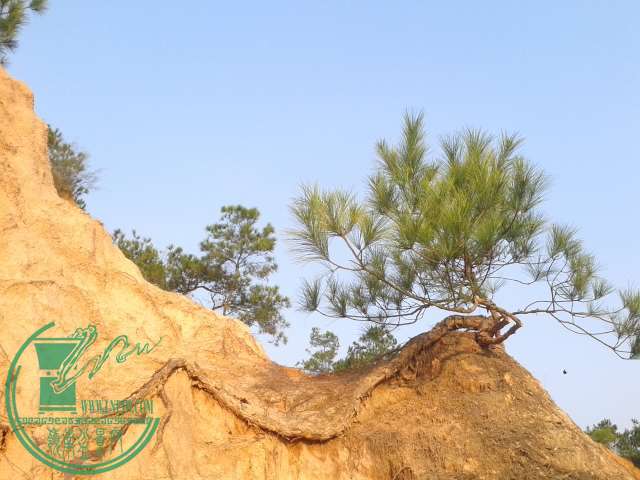 20141212_160009.jpg