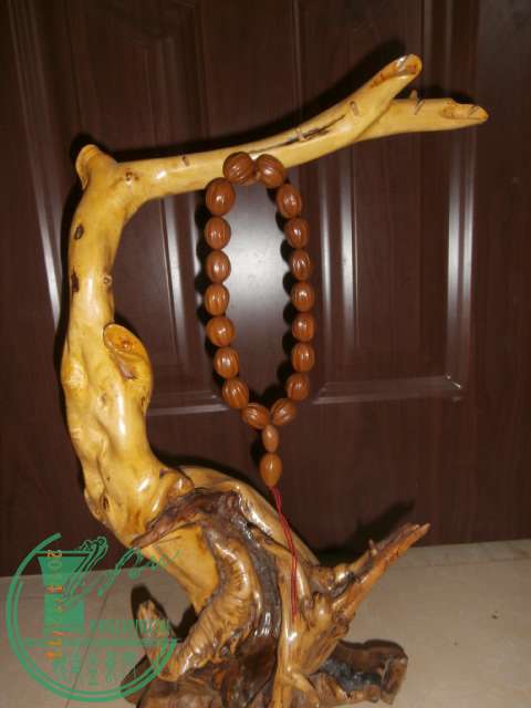 PC110091.JPG
