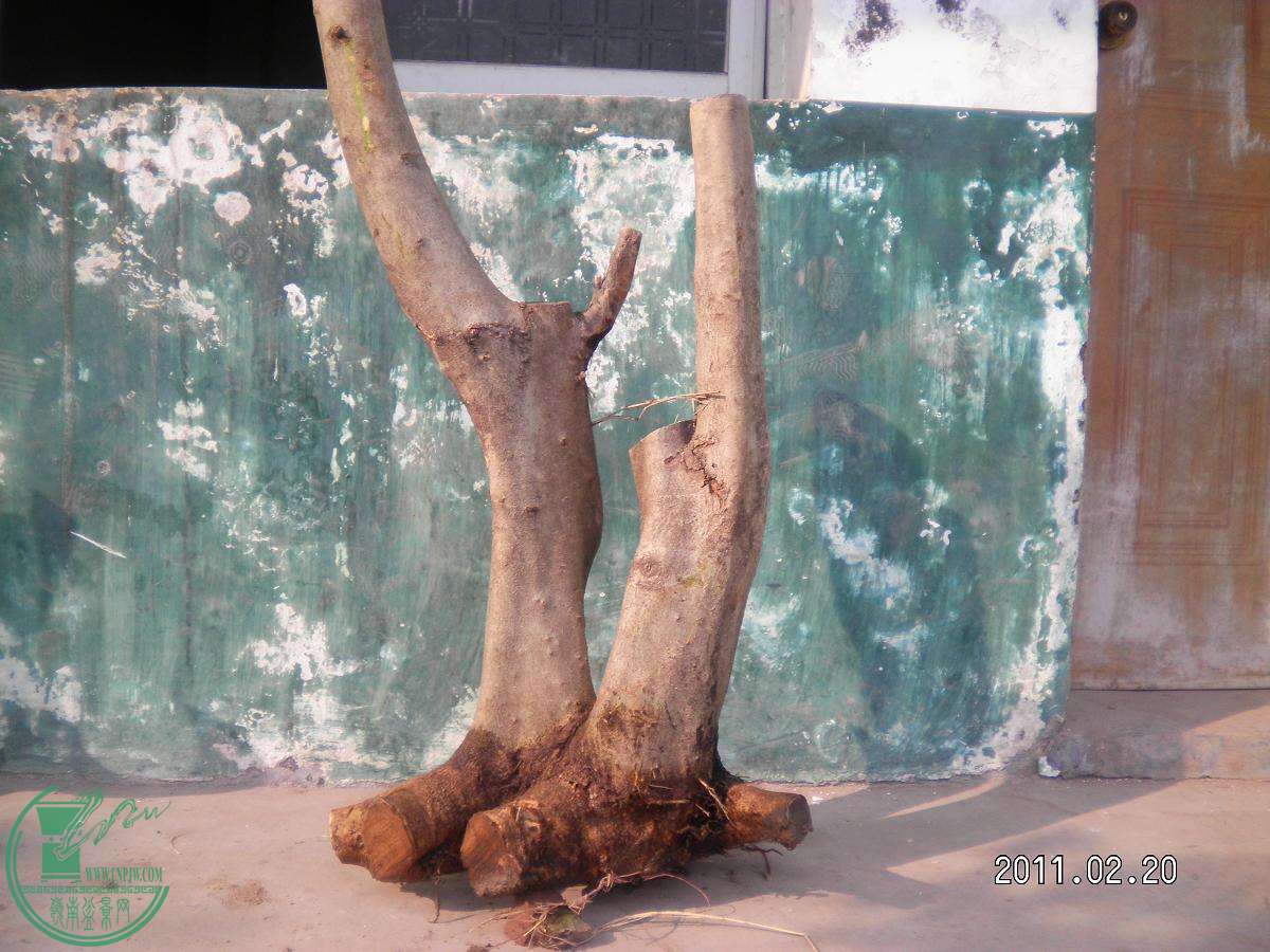 SANY0025.JPG