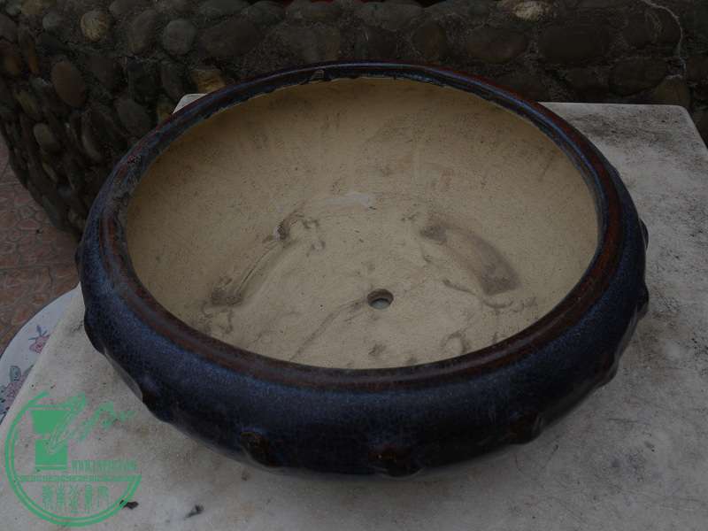 P1200779.JPG
