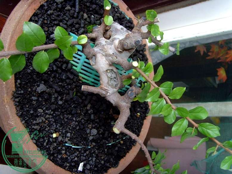 2010.9.2.JPG