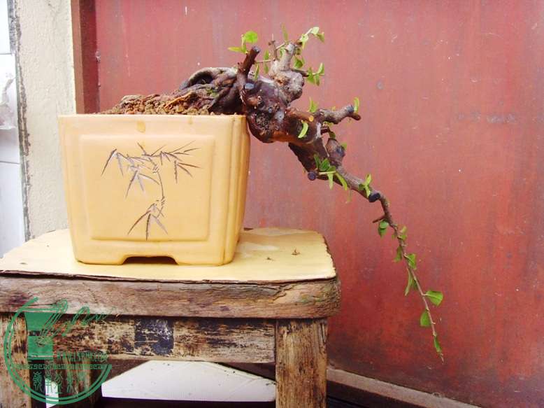 2010.10.10b.JPG