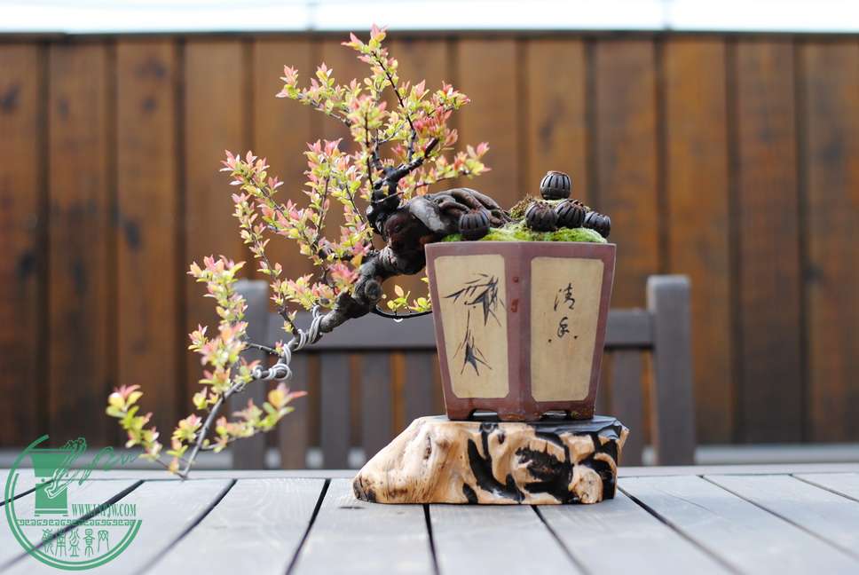 2013.3.31.jpg