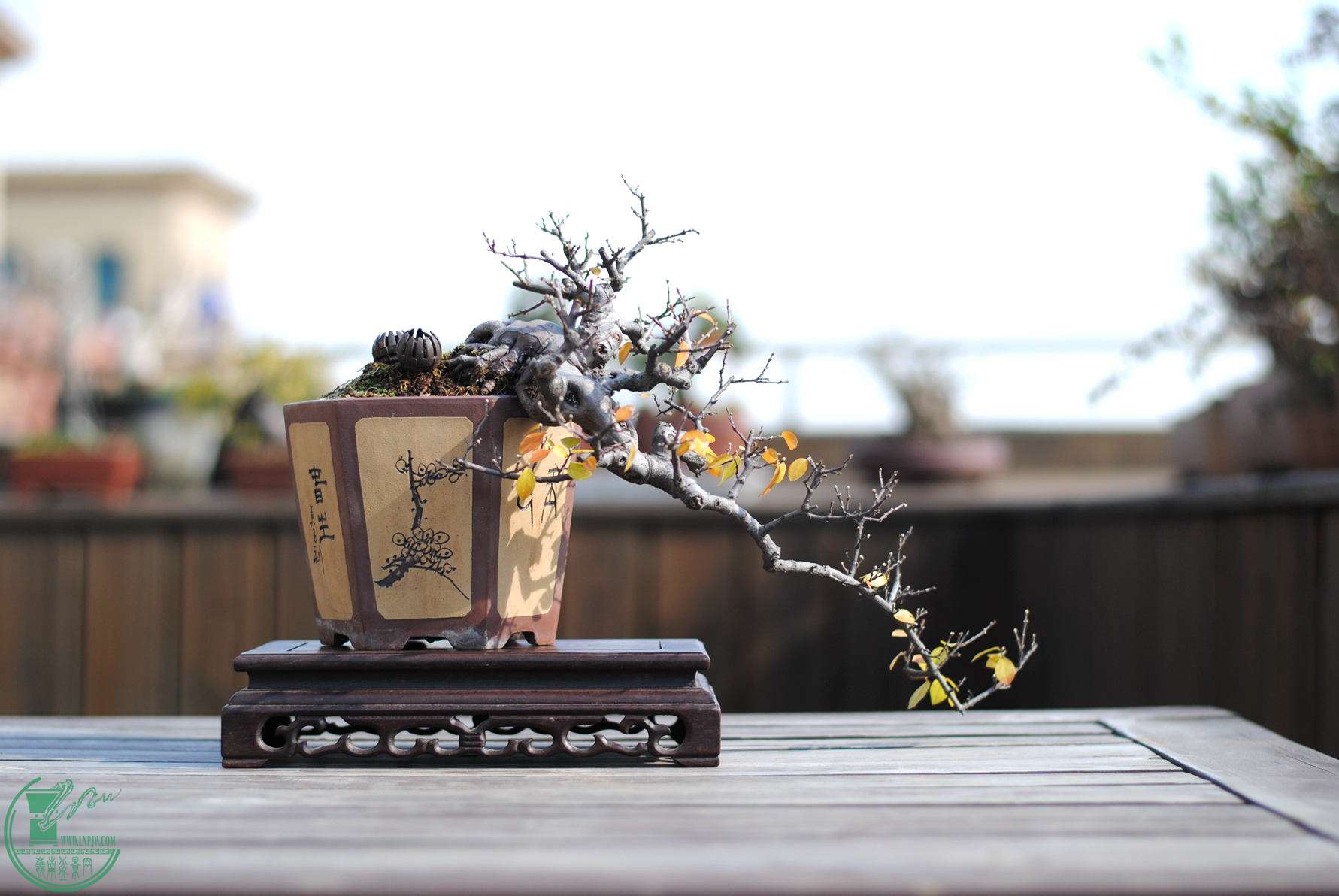 2014.12.14.JPG