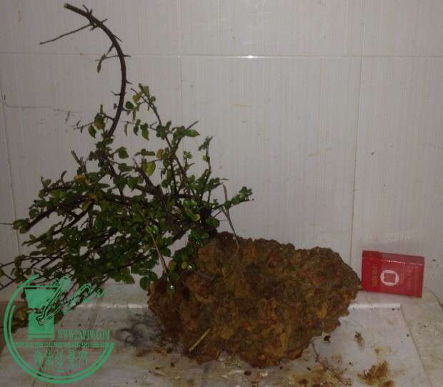 QQͼƬ20141215094630.jpg