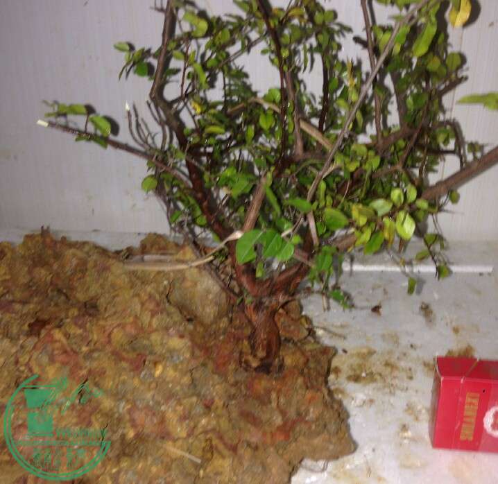 QQͼƬ20141215094637.jpg
