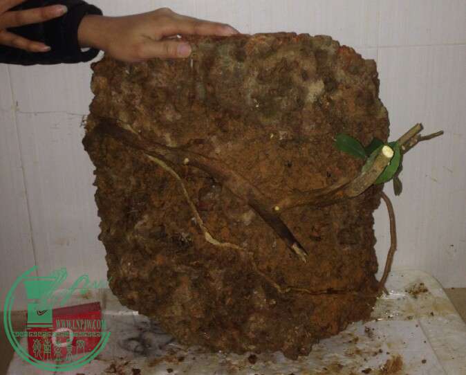 QQͼƬ20141215094657.jpg