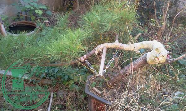 2014-11-17 08-1_.jpg