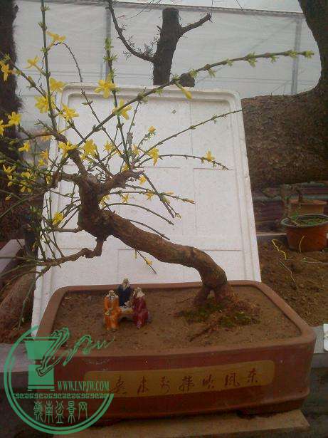 IMG1215143302.jpg