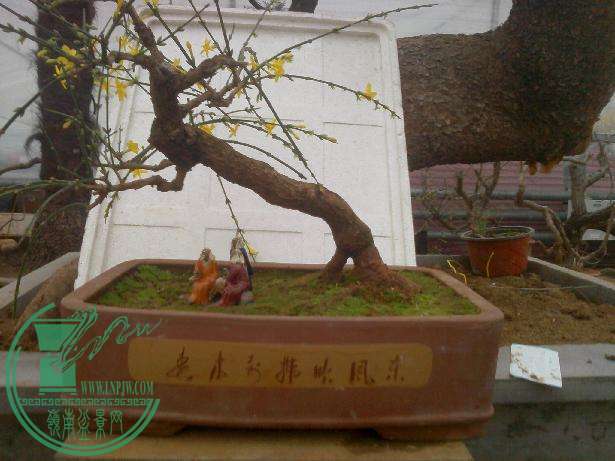 IMG1215145100.jpg