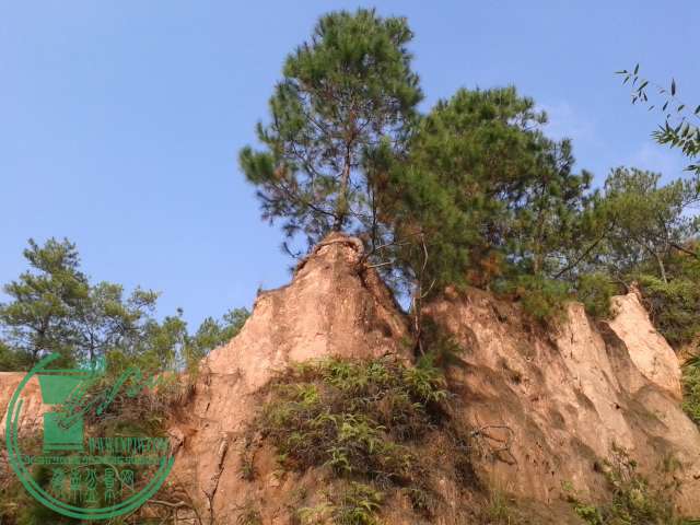 20141211_101327.jpg