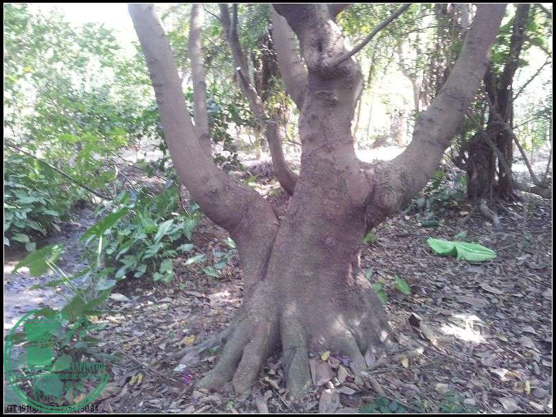 ˼1.jpg
