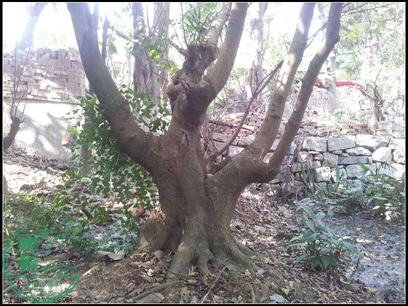 ˼2.jpg
