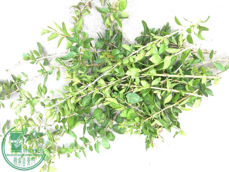 2014-12-19_11-20-12_498_www.moumu.com.jpg