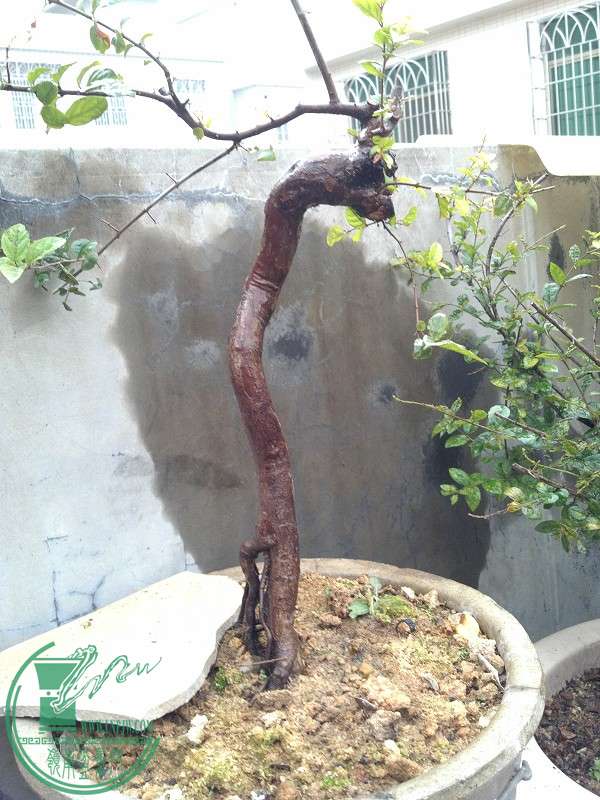 2014-12-19_10-54-23_133_www.moumu.com.jpg