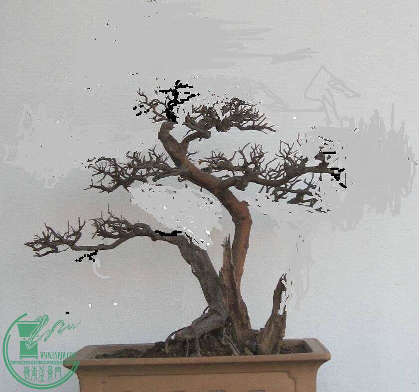 QQͼƬ20141220110343.jpg