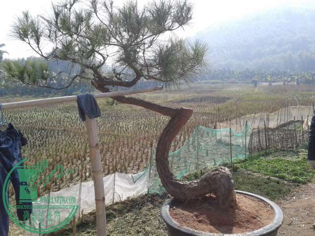 20141220_112757.jpg