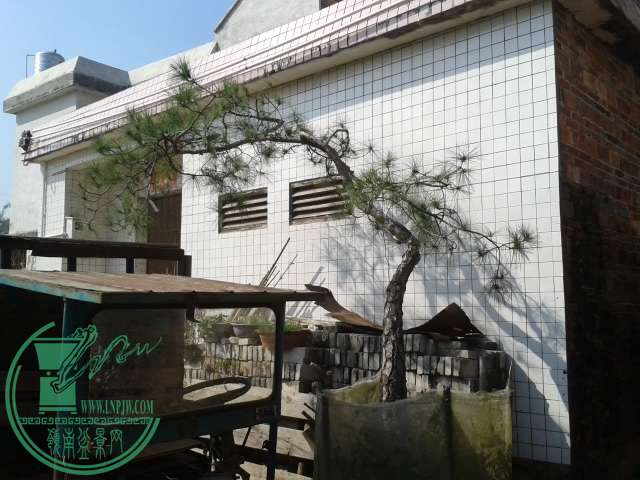 20141220_112744.jpg