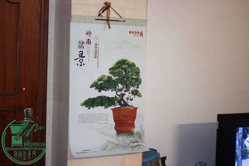 辰1.jpg